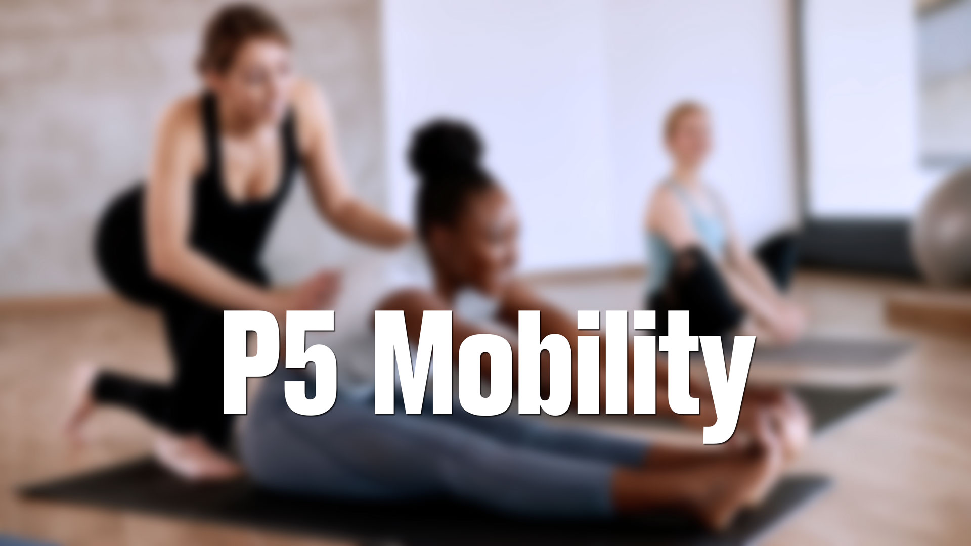 Pro Fit Training Gym Mobility Training in Seattle, WA